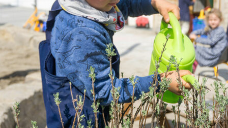 A child's hand watering plants with a green watering can.